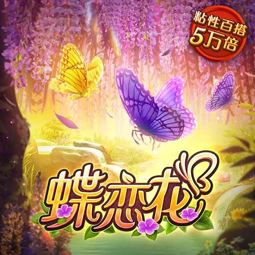 NG娱乐