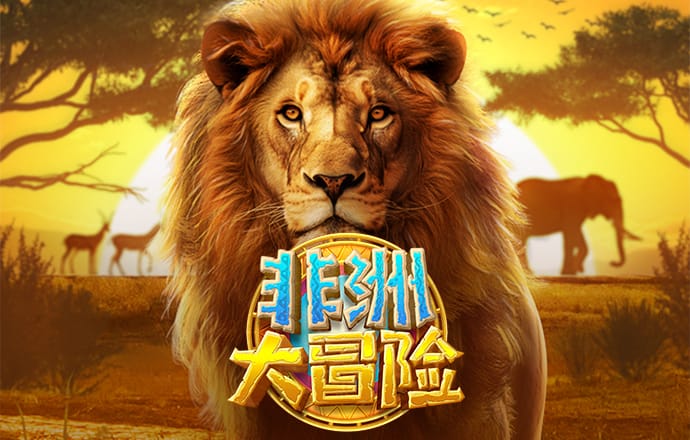 澳门正版资料大全使用教程